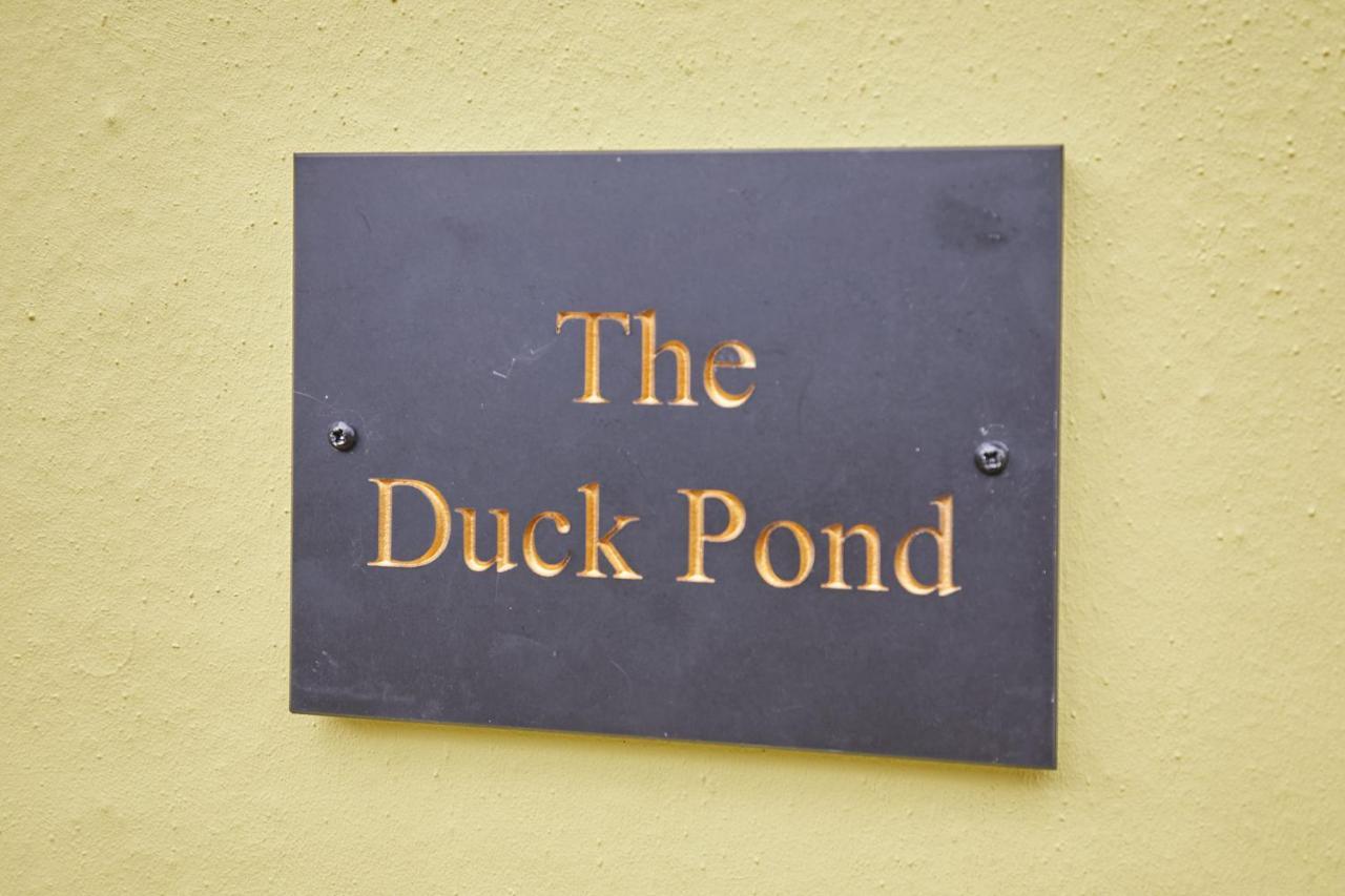 Host & Stay - The Duck Pond Durham Kültér fotó